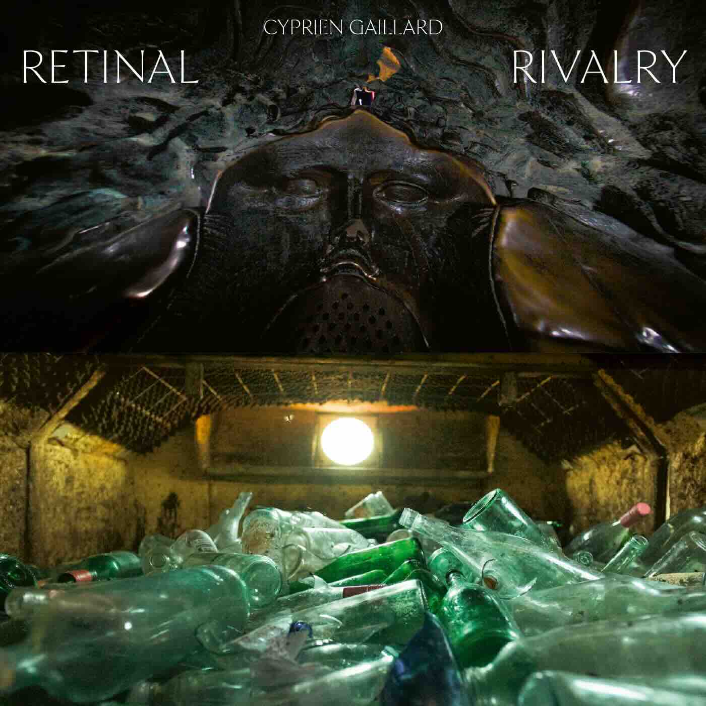 Cyprien Gaillard - Retinal Rivalry