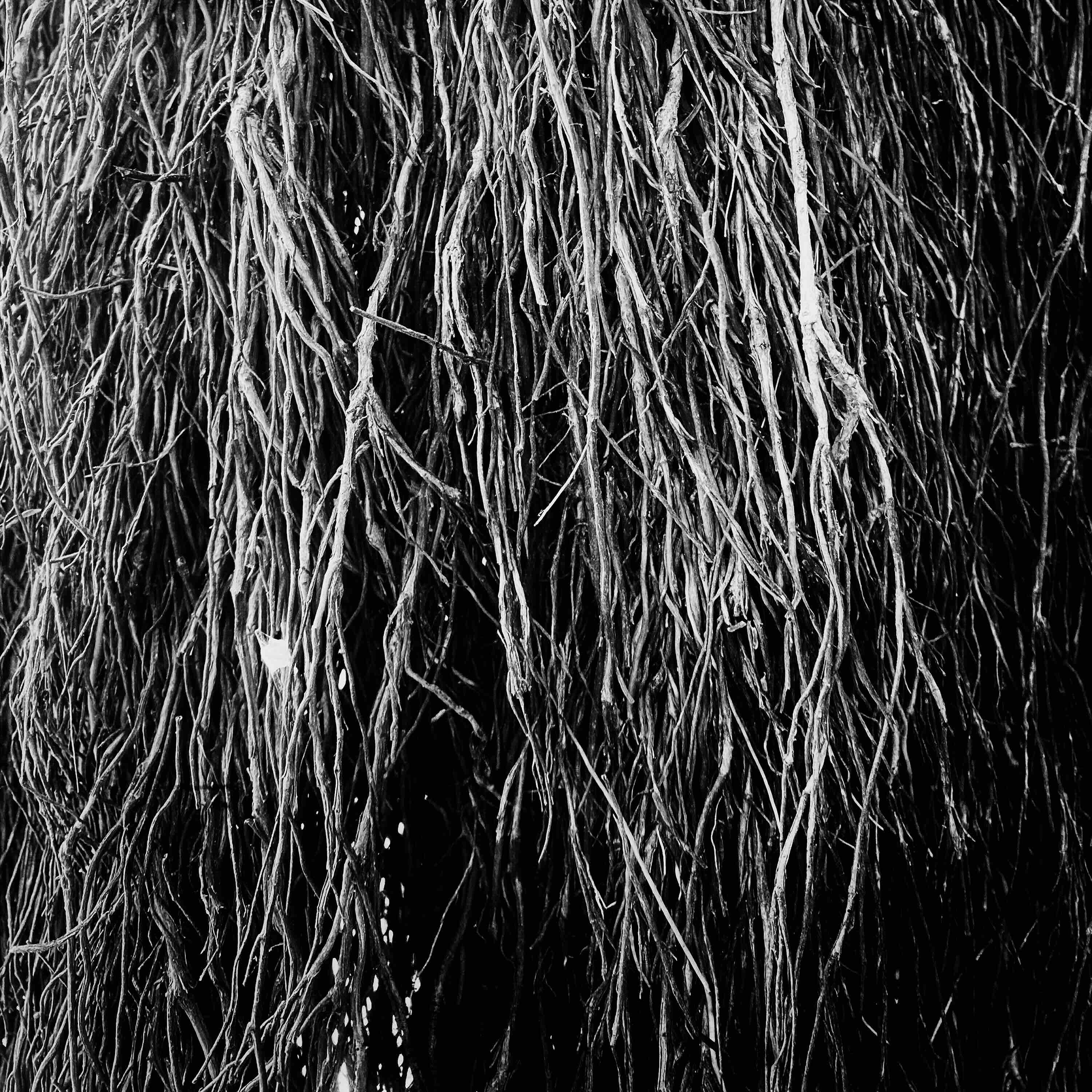 Merzbow, Iggor Cavalera, Eraldo Bernocchi - Nocturnal Rainforest